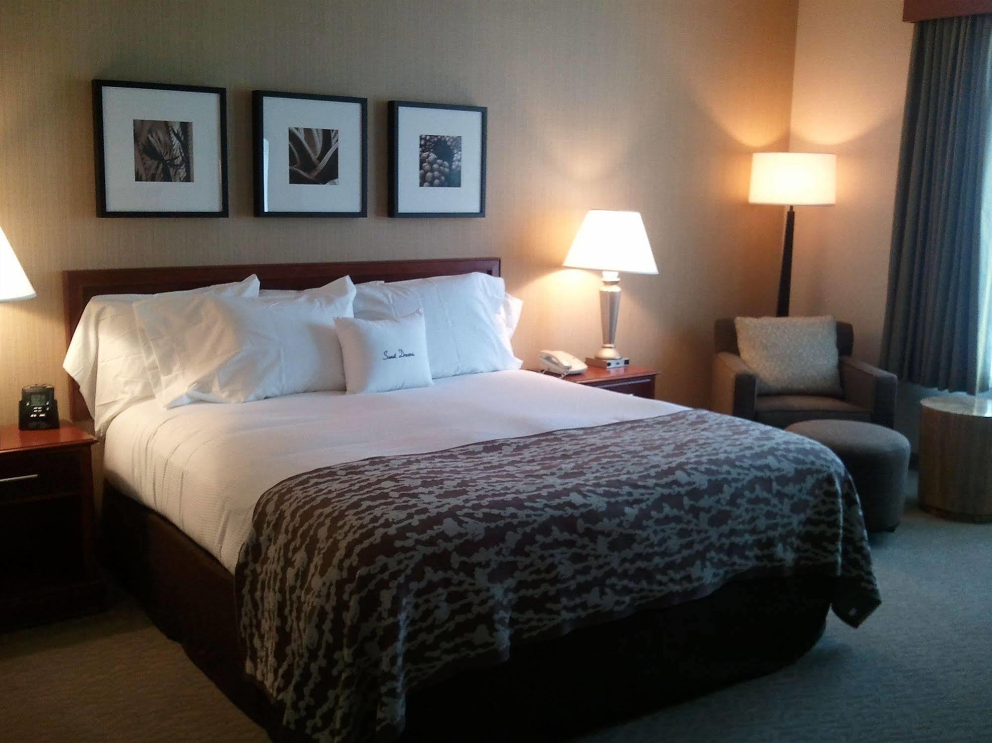 Wyndham Garden Downtown Hotel
