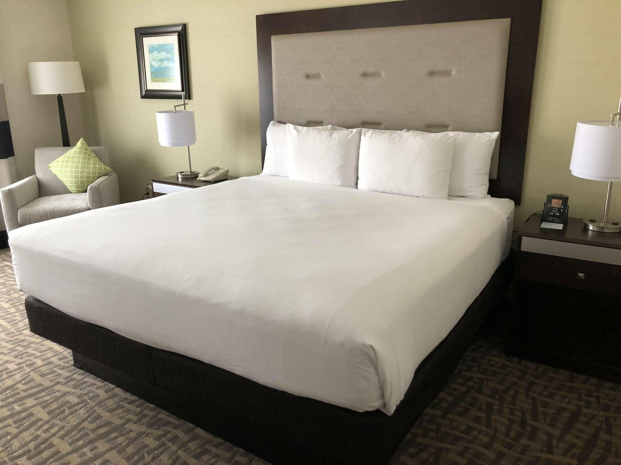Hotel Wyndham Garden Downtown Buffalo