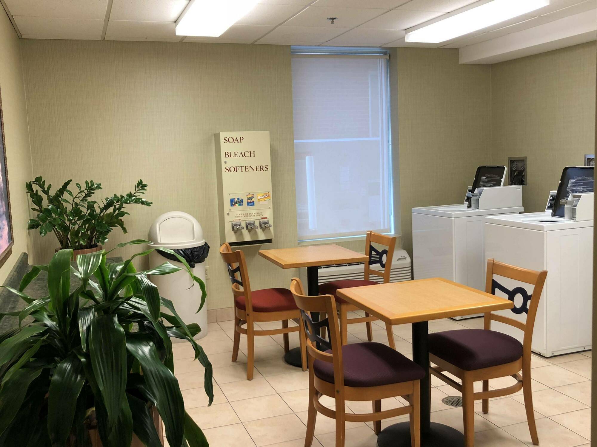 Wyndham Garden Downtown 3* Buffalo